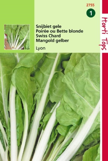 Mangold gelber Lyon 2 (Beta vulgaris) 400 Samen HT